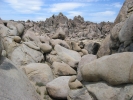 PICTURES/Motor Tour Through The Sierras/t_Alabama Hills - Seals1.JPG